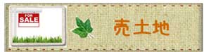土地
