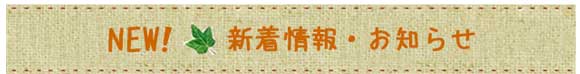 新着情報&お知らせ